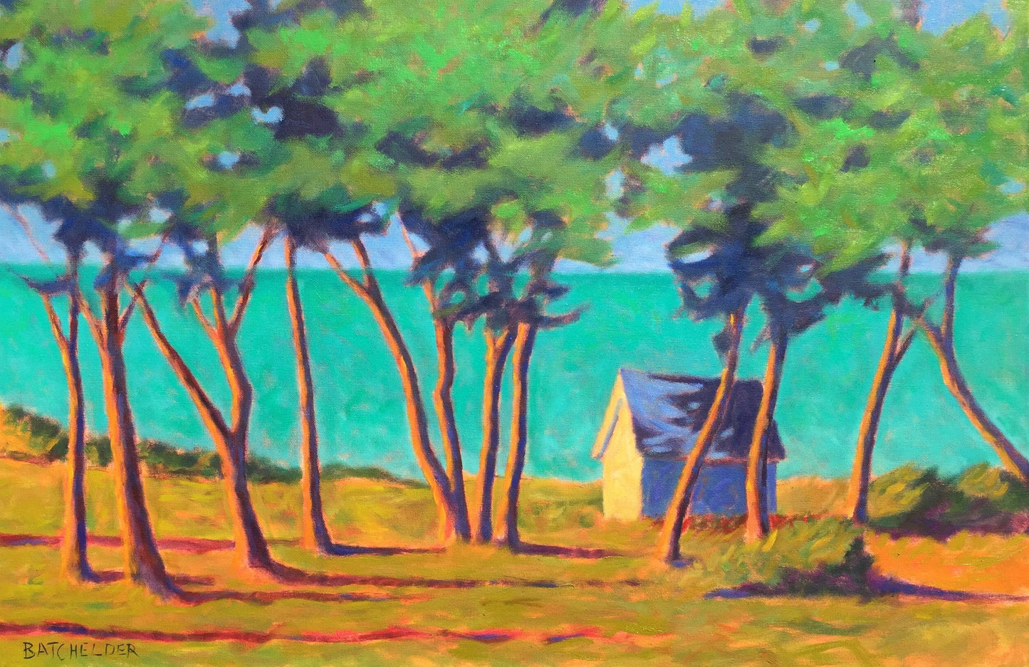 "Trees at West Chop" Print Sale